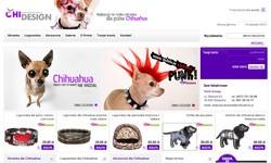 Akcesoria dla Chihuahua