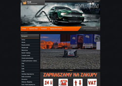 CARTEAM Magdalena Makowicz