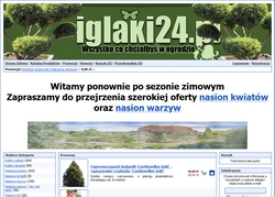 Iglaki 24.pl